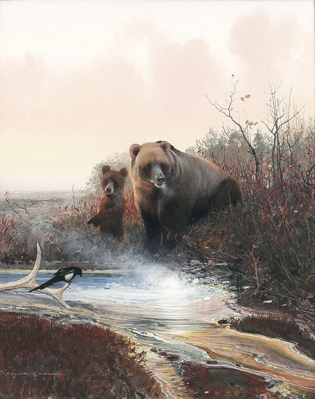 Michael Coleman | Yellowstone Grizzly: Artist: Michael Coleman | b. 1946 Guest Artist NAWA Title: Yellowstone Grizzly Signed l/l: Michael Coleman © Media: Gouache on board Dimensions: 11 by 9 inches