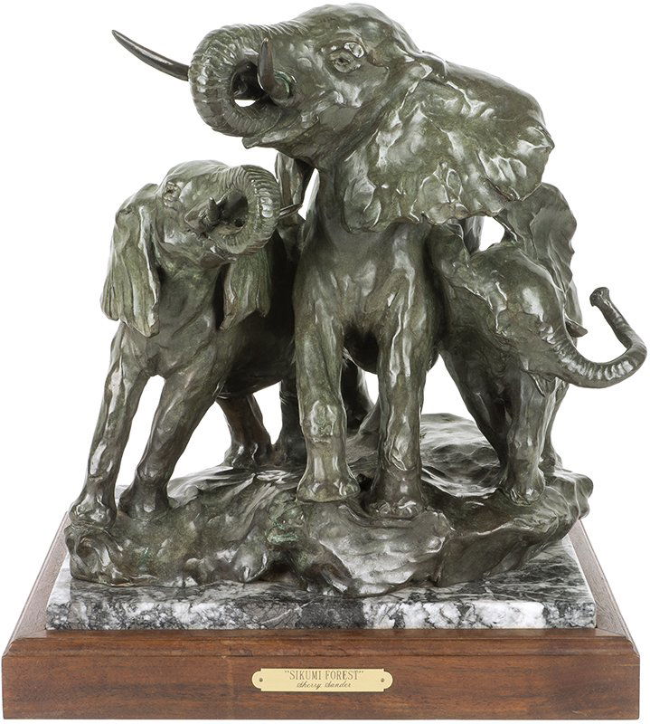 Sherry Salari Sander | Sikumi Forest (1 of 1)