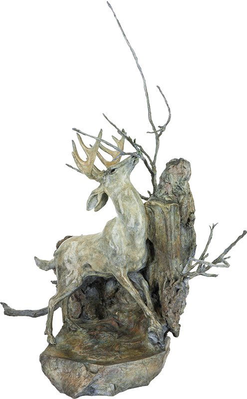 Sherry Salari Sander | Late Fall (1 of 1)