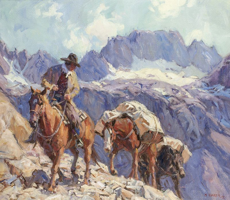 Suzanne Baker | Forester in the Rear (1 of 1)