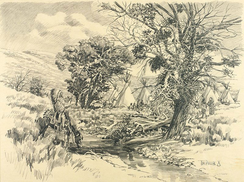 Tom Phillips | Sacred Cottonwood (1 of 1)