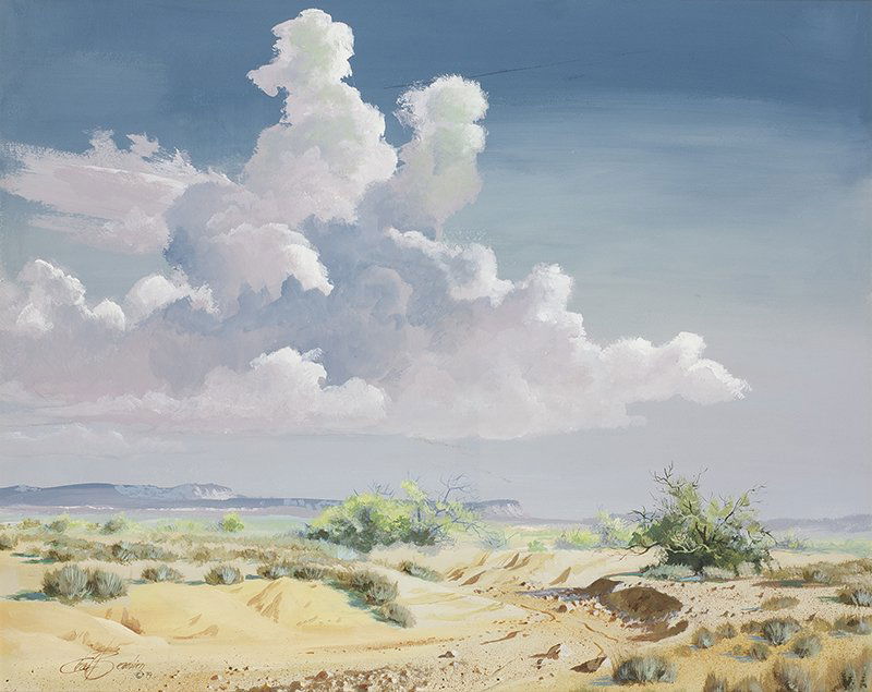Charles Beaubien | Desert Cloud (1 of 1)
