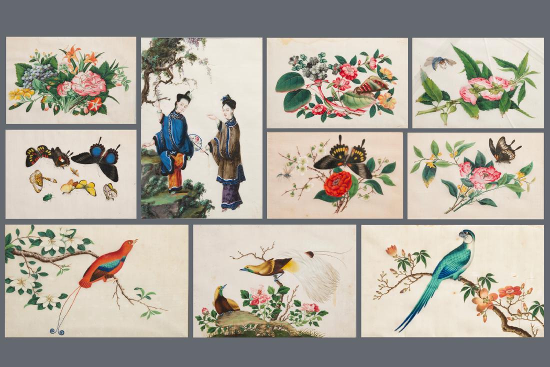 Ten Chinese framed rice paper paintings with mostly: Ten Chinese framed rice paper paintings with mostly butterflies and birds, Canton, 19th C. ---- Dim.: 43 x 33 cm (the largest frame)Dim.: 27,5 x 17 cm (the largest painting)