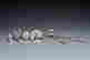 item-116712493=2
