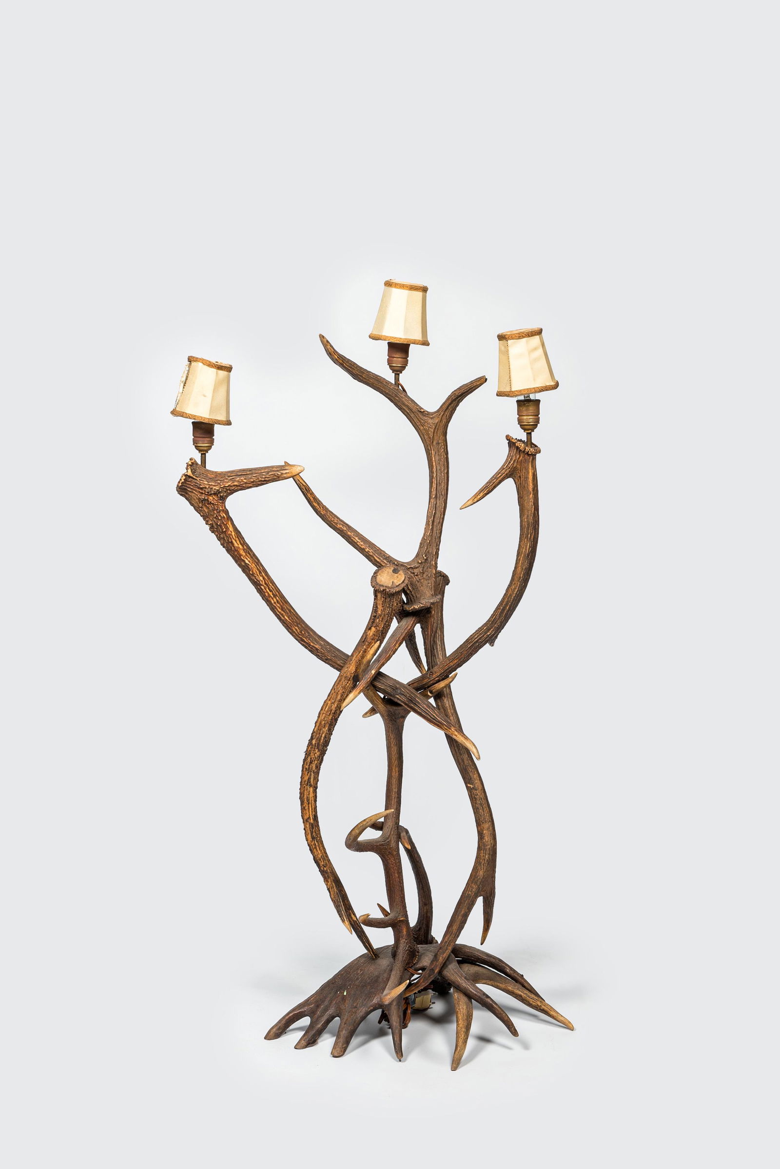A large stag antler floor lamp, 20th C. (1 of 2)