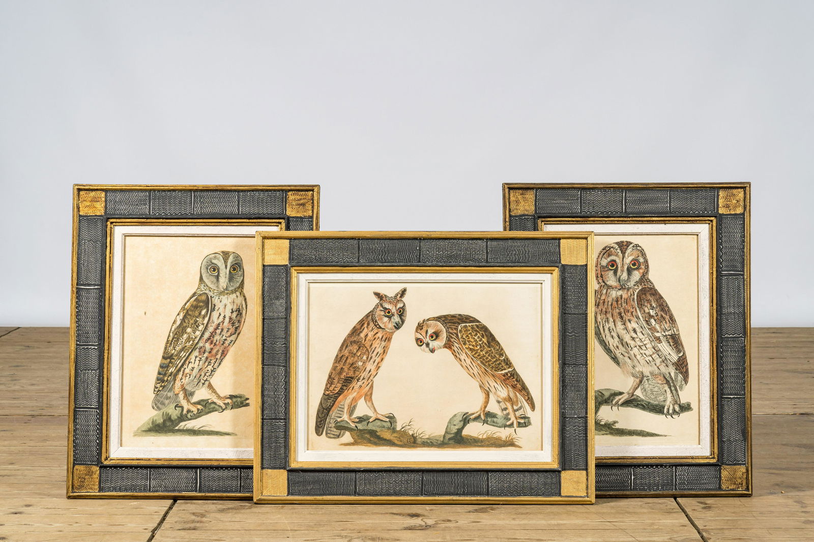 Three framed 'owl' colour engravings, 20th C. (1 of 2)