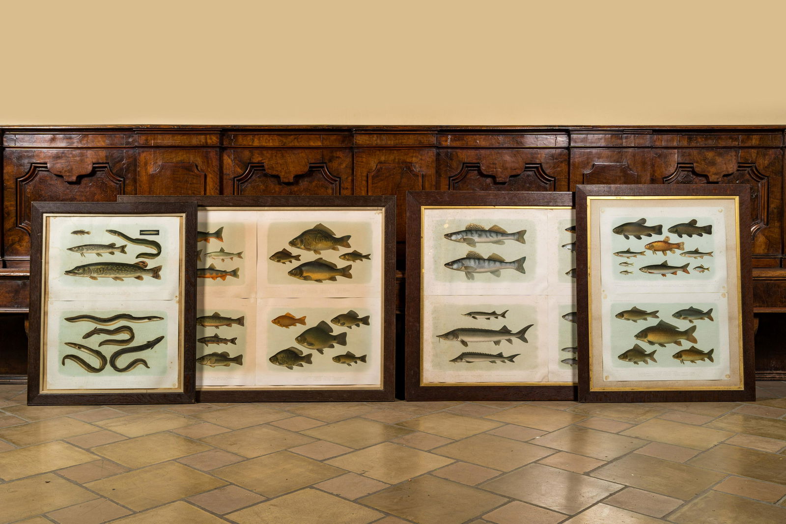 A collection of framed 'fish' lithographs in colours, Werner u. Winter, Frankfurt, 20th C. (1 of 3)