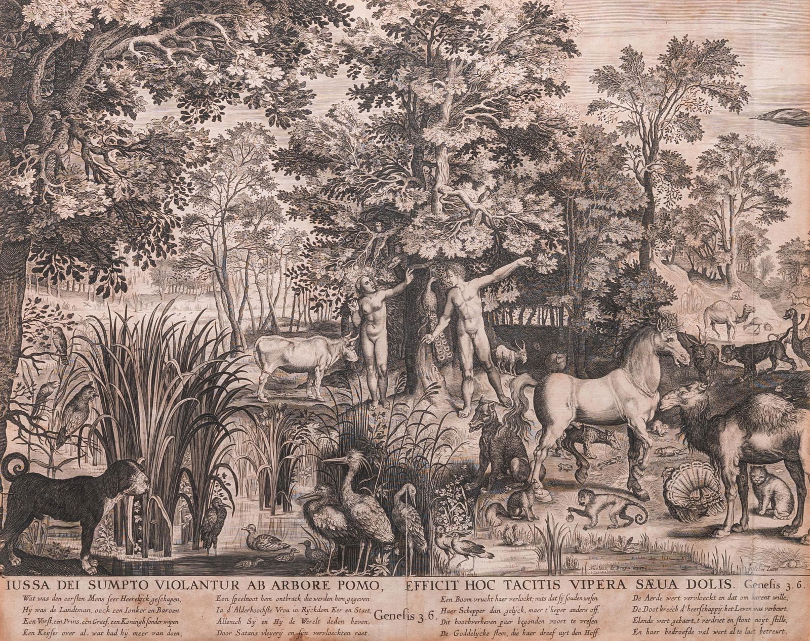 Nicolaes de Bruyn (1571-1656, after): 'Adam and Eve deceived by the snake', engraving on paper, ca.: Full title: Nicolaes de Bruyn (1571-1656, after): 'Adam and Eve deceived by the snake', engraving on paper, ca. 1652 Description: Dim.: 73 x 64 cm (the frame) Dim.: 51,5 x 43 cm (the work) Ref.: Museu