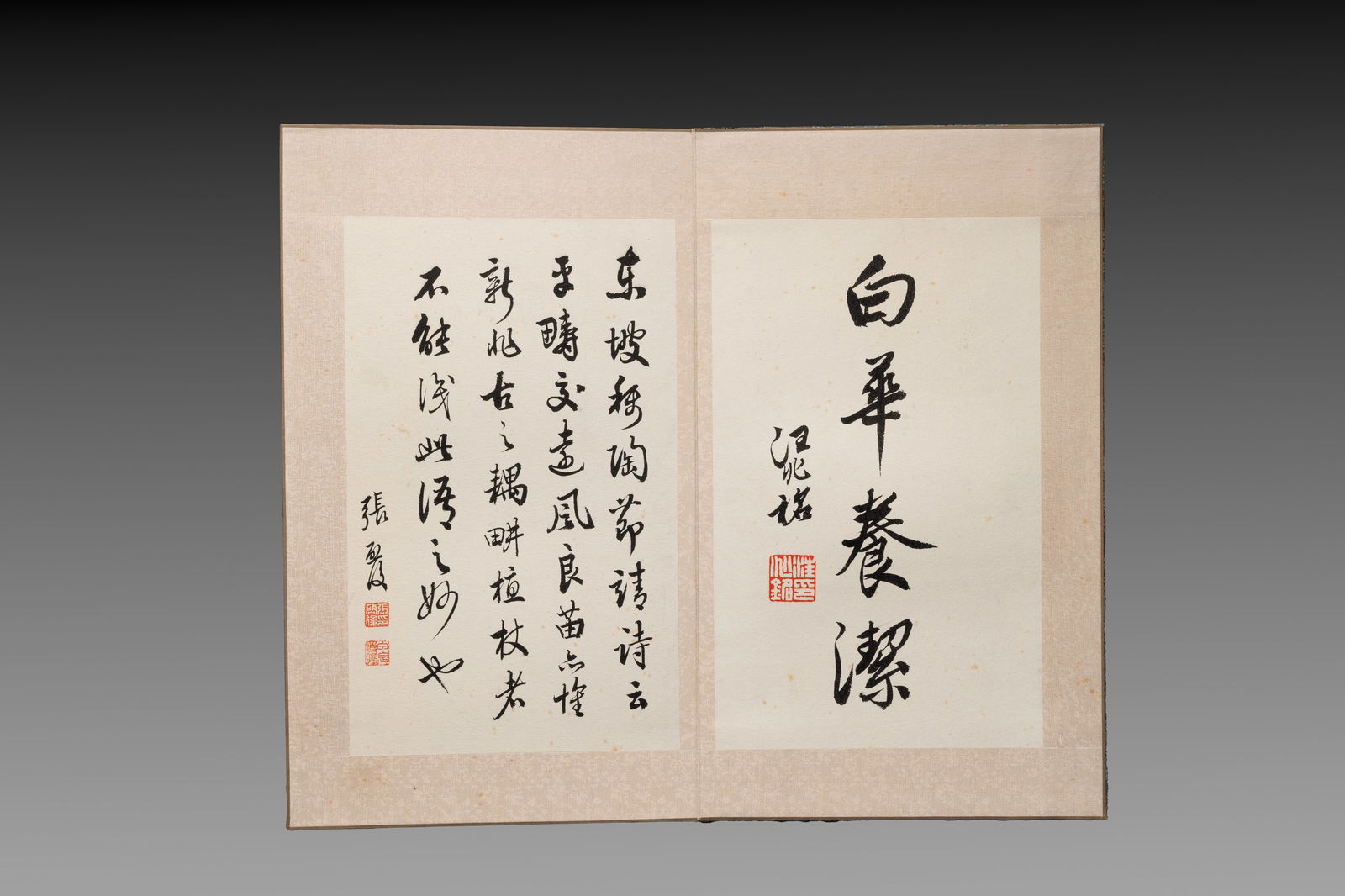 Chinese school: 'Flowers and calligraphies', writings with signatures of celebrities, ink and colour (1 of 12)