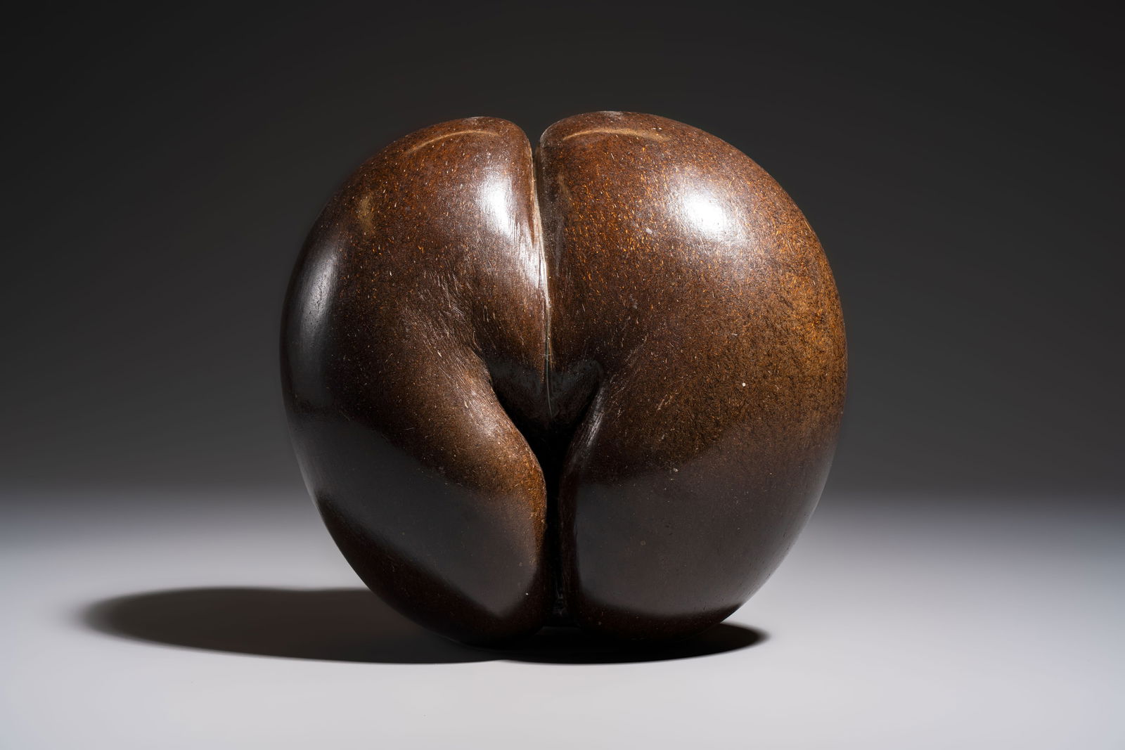 A coco de mer or sea coconut (Lodoicea maldivica), Seychelles (1 of 6)