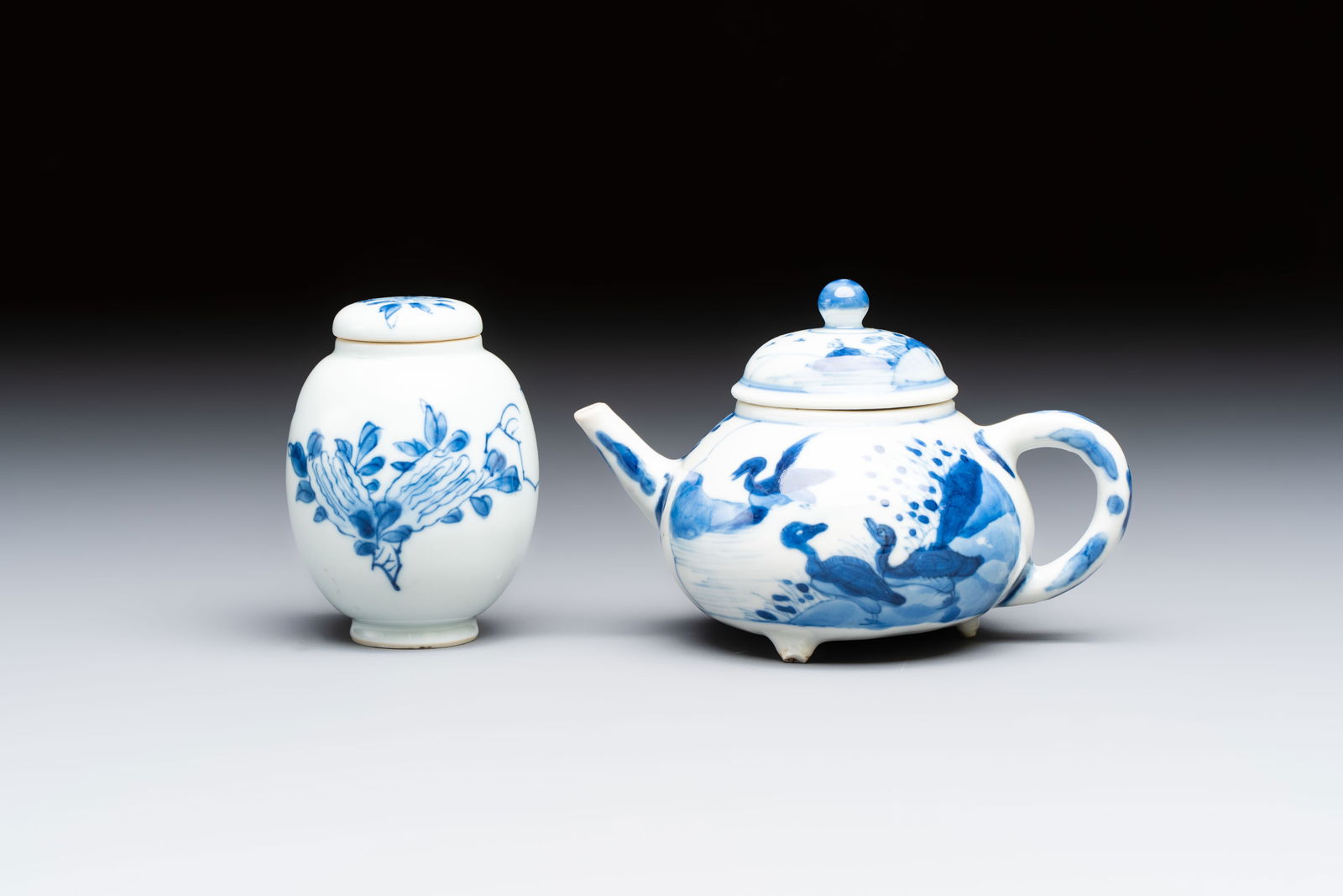 A Chinese blue and white covered tea caddy and a covered teapot with ducks, Kangxi (1 of 7)