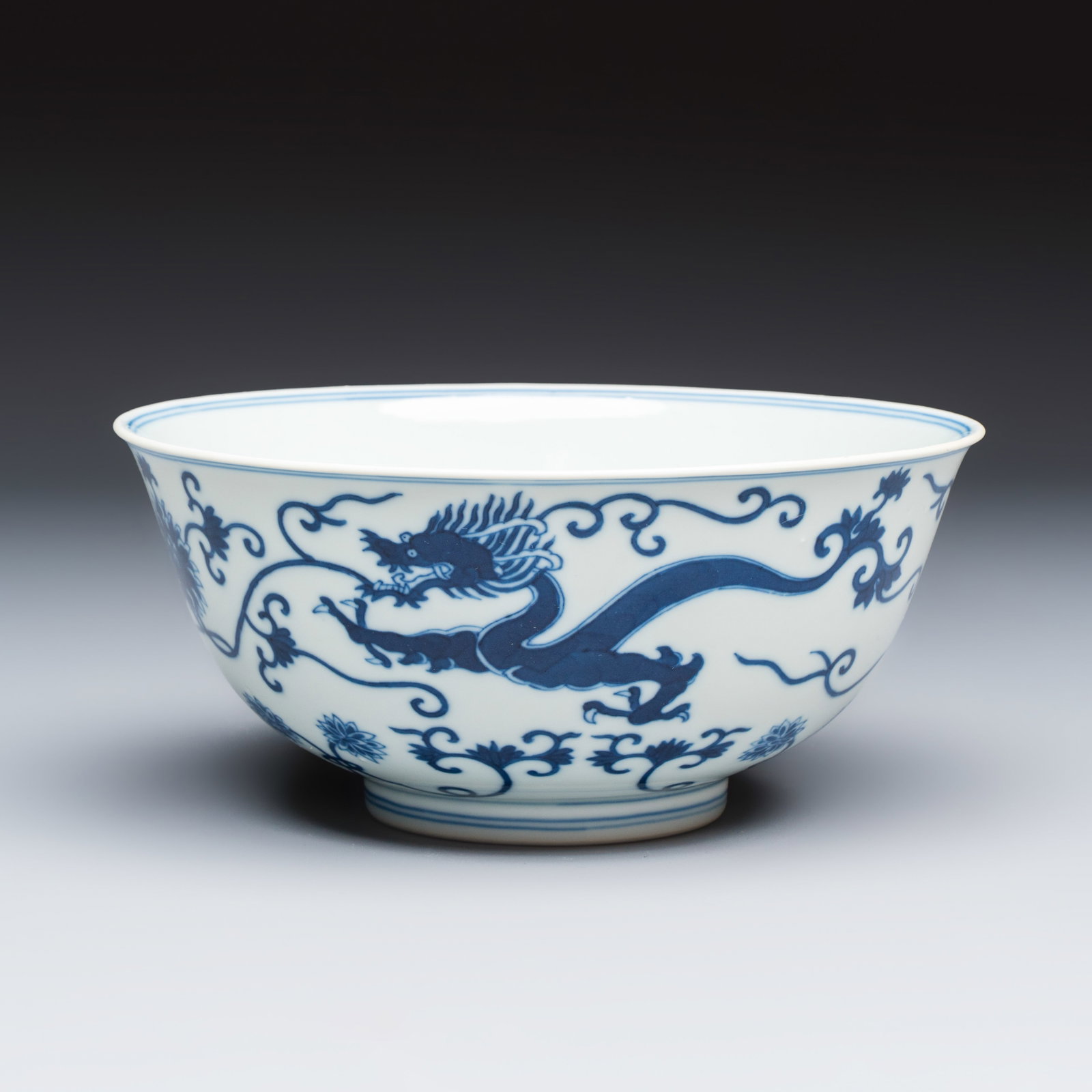 A Chinese blue and white 'Cao Long' bowl, Jiaqing mark and of the period (1 of 7)