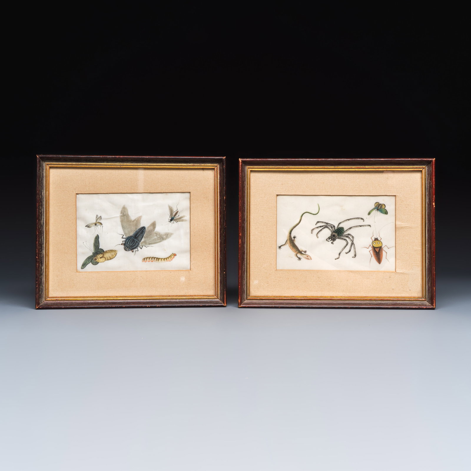 Two unusual Chinese Canton pith paper paintings with various insects and a lizard, 19th C.: Two unusual Chinese Canton pith paper paintings with various insects and a lizard, 19th C. L.: 26,5 cm - H.: 21,5 cm | the largest frame L.: 16,2 cm - H.: 11,3 cm | the largest work L.: 27 cm - H.: 21