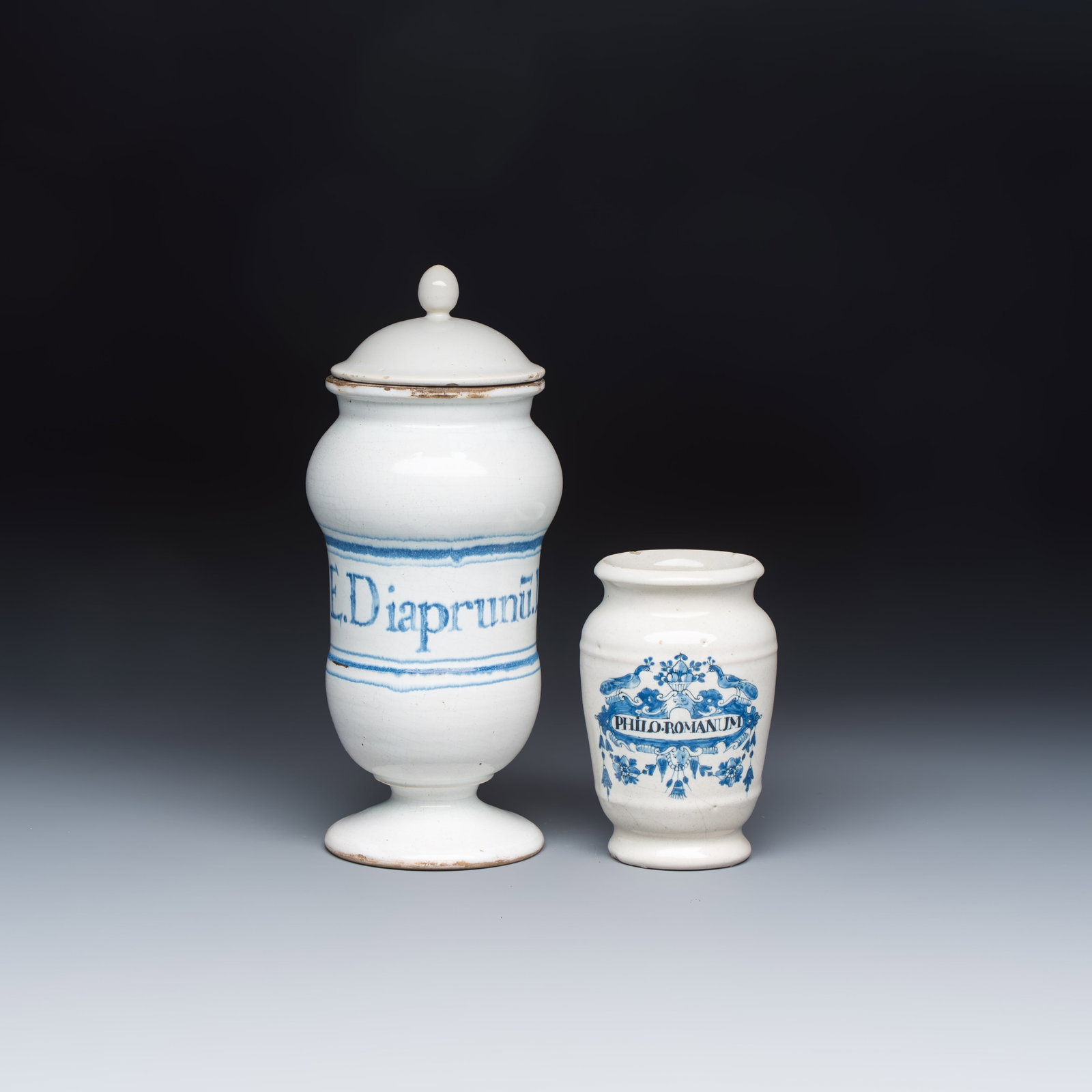 A blue and white Dutch Delft apothecary jar inscribed 'PHILO. ROMANUM' and a French apothecary jar (1 of 13)