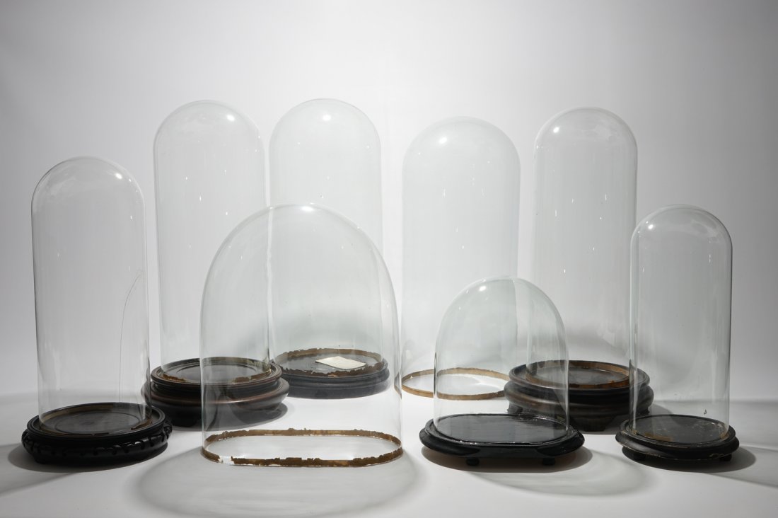 A set of eight glass domes on stands, 20th C.: H.: 53 cm (the tallest) Lacking two stands.