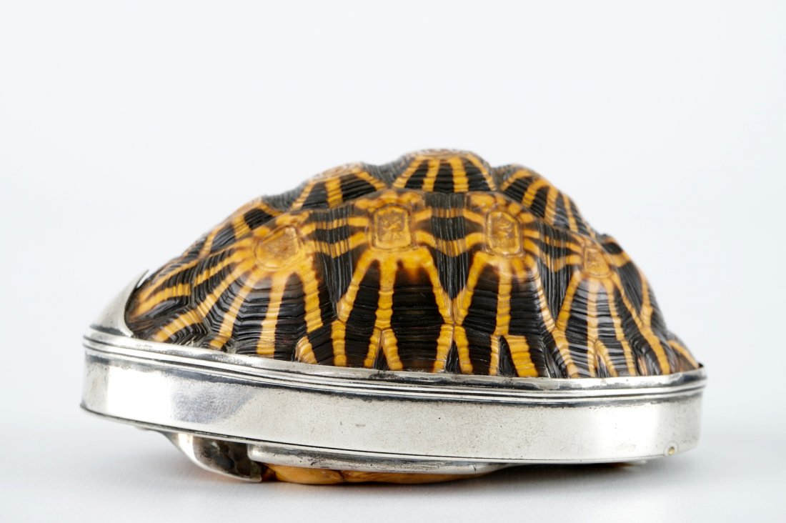A silver-mounted tortoise shell box, 19th C. (1 of 7)