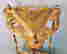 item-81469881=2