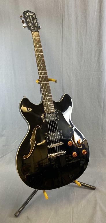 Washburn 335 2024