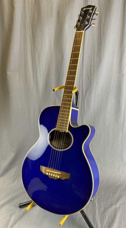 Brownsville Acoustic/Electric Cutaway Guitar (1 of 7)