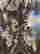 item-120919600=5