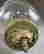 item-120919616=7