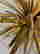 item-120919623=11