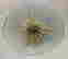 item-120919623=2