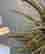 item-120919623=4
