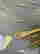 item-120919623=5