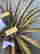item-120919623=6