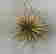 item-120919623=7