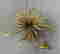 item-120919623=9