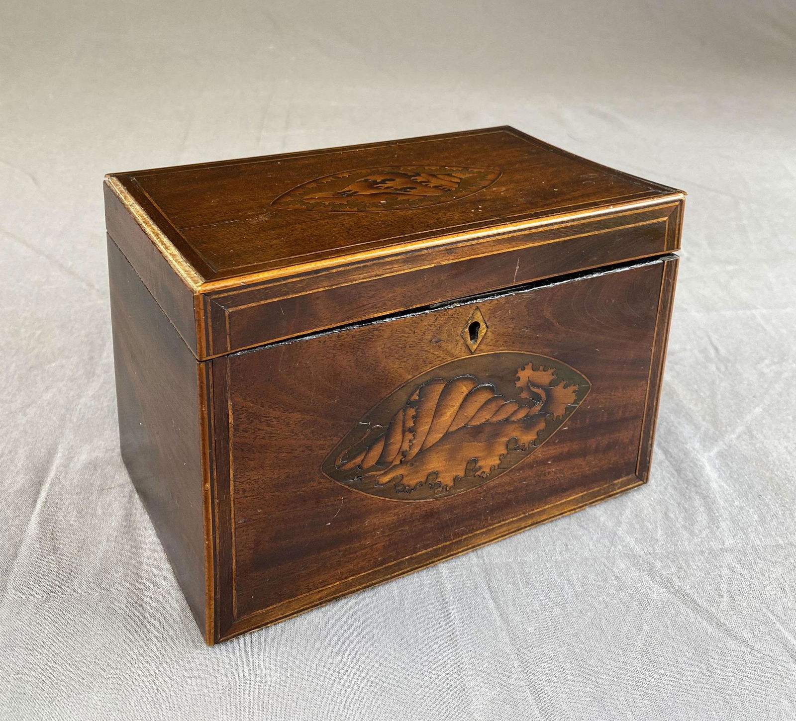 19th C. Conch Shell Inlay Mahogany Tea Caddy (1 of 13)