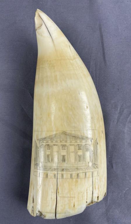 Antique Scrimshaw Architectural & Ship Renderings: Antique whale's tooth scrimshaw estimated to date to the late 19th century. Finely rendered tall ship on one side and a neoclassical building on the other. 9" long. Shipping: In-House Shipping Offered