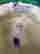 item-128436614=15