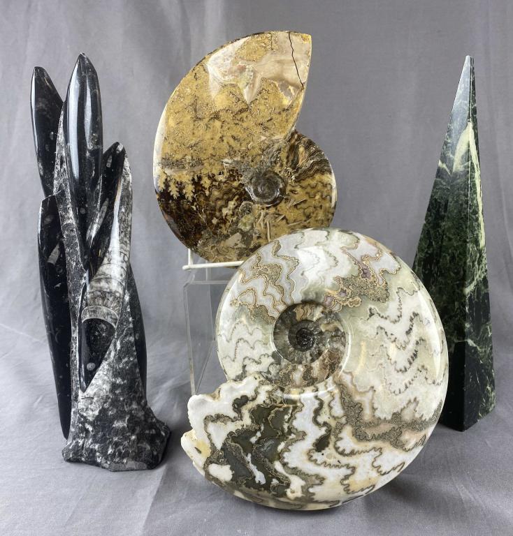 4 Polished Fossil and Stone Specimens (1 of 4)