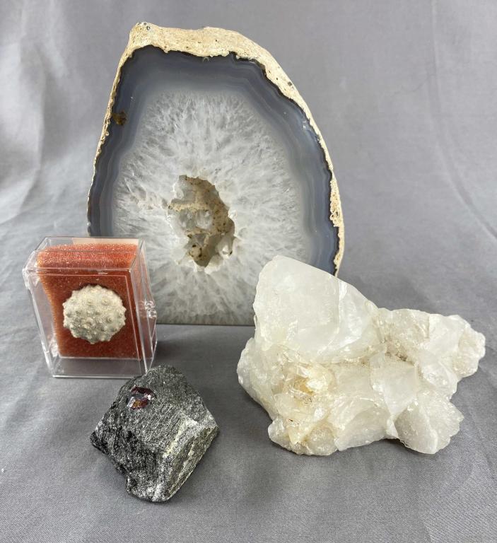 Group of Stone and Fossil Specimens (1 of 3)