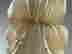 item-137465120=6