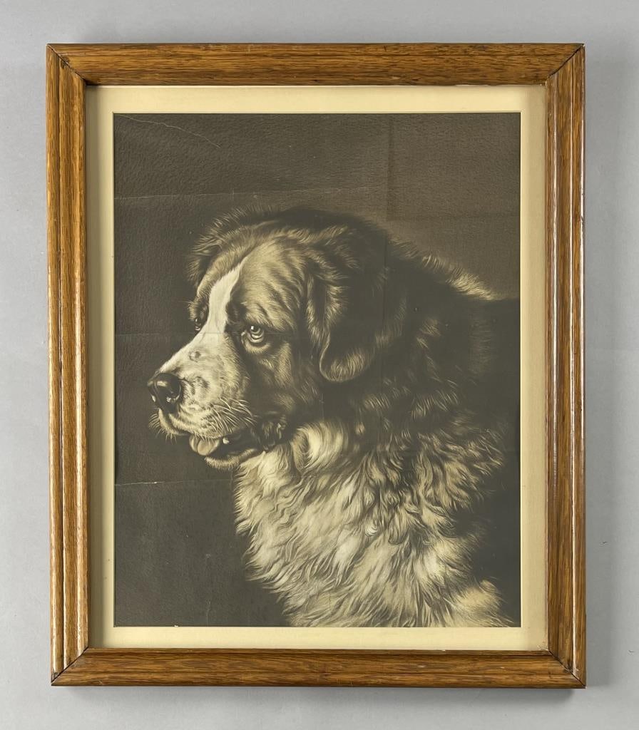 St Bernard Dog Lithograph Paton C.1900 (1 of 4)