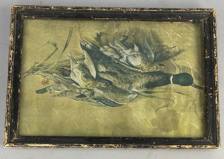 Still Life  Duck & Game Bird Lithograph in Frame (1 of 6)