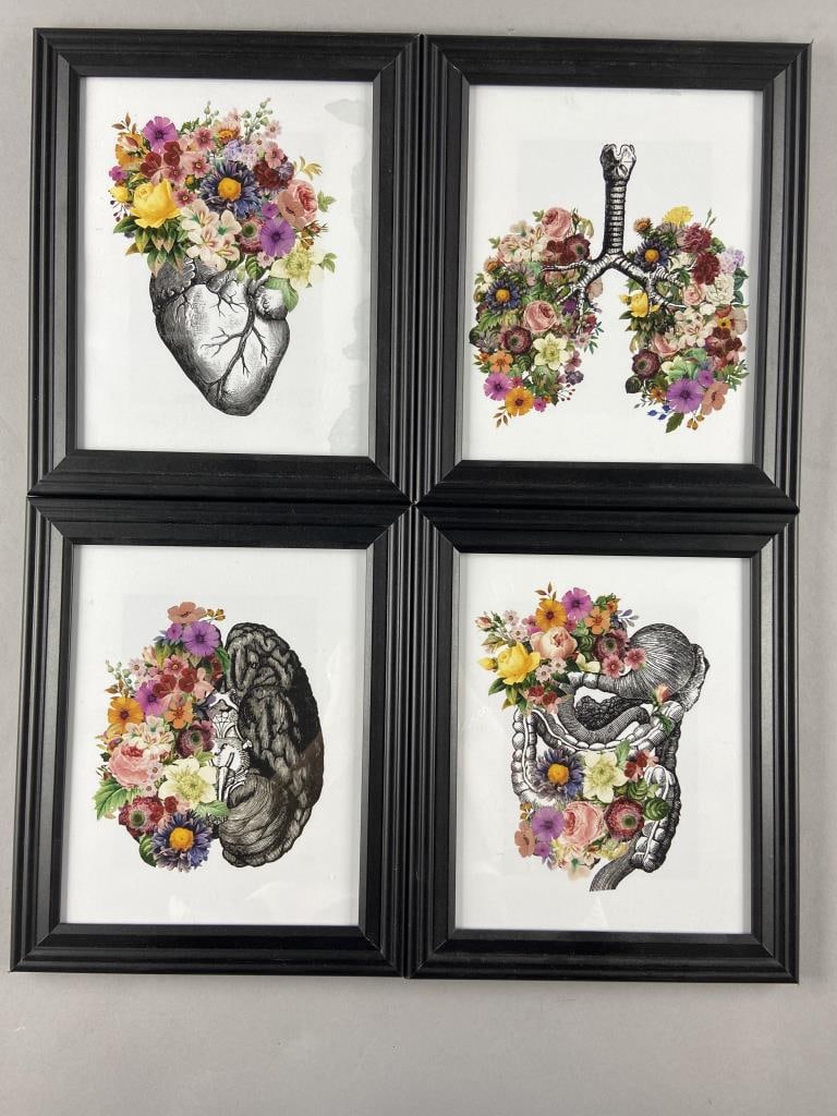Anatomical Floral Art Prints Set of Four (1 of 9)