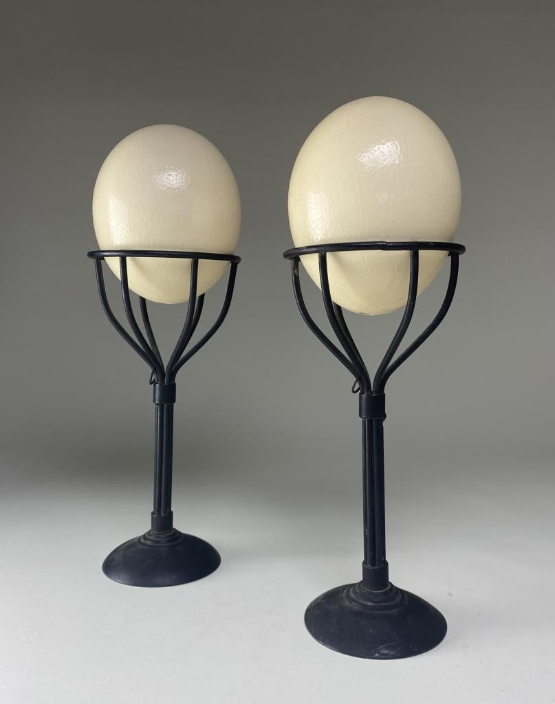 Pair of Ostrich Eggs on Wrought Iron Stands (1 of 4)