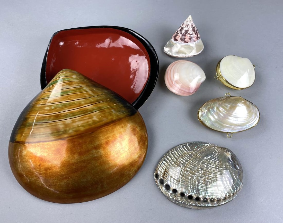 Shell Trinket Boxes, Abalone Dish, Trochus Shell: Japanese lacquered clamshell 9" lidded dish or box, one seashell and one mother of pearl brass trimmed trinket or jewelry boxes, one 5-1/2" abalone shell dish, a trochus shell, and a whole closed tige