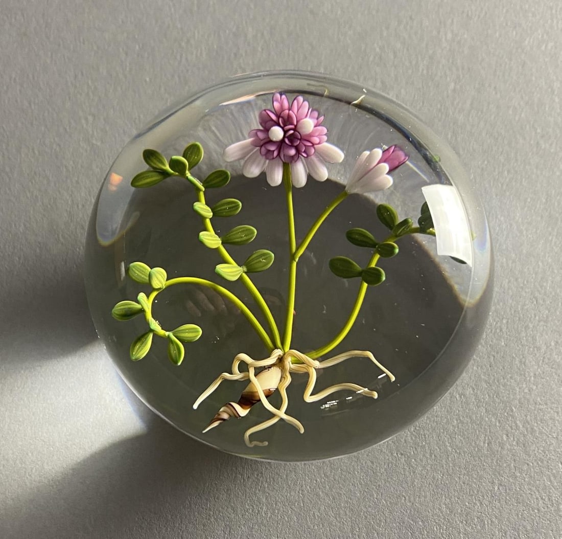 Chris Buzzini Paperweight Flame Work Botanical (1 of 5)