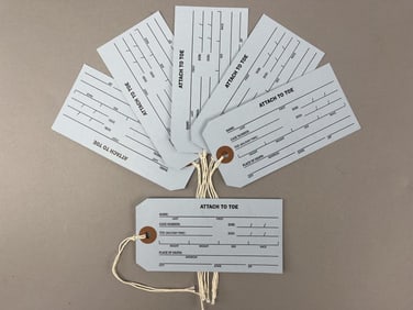 6 Real Morgue Coroner's Toe Tags Blank