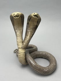 Double Cobra Snake Taxidermy Replica