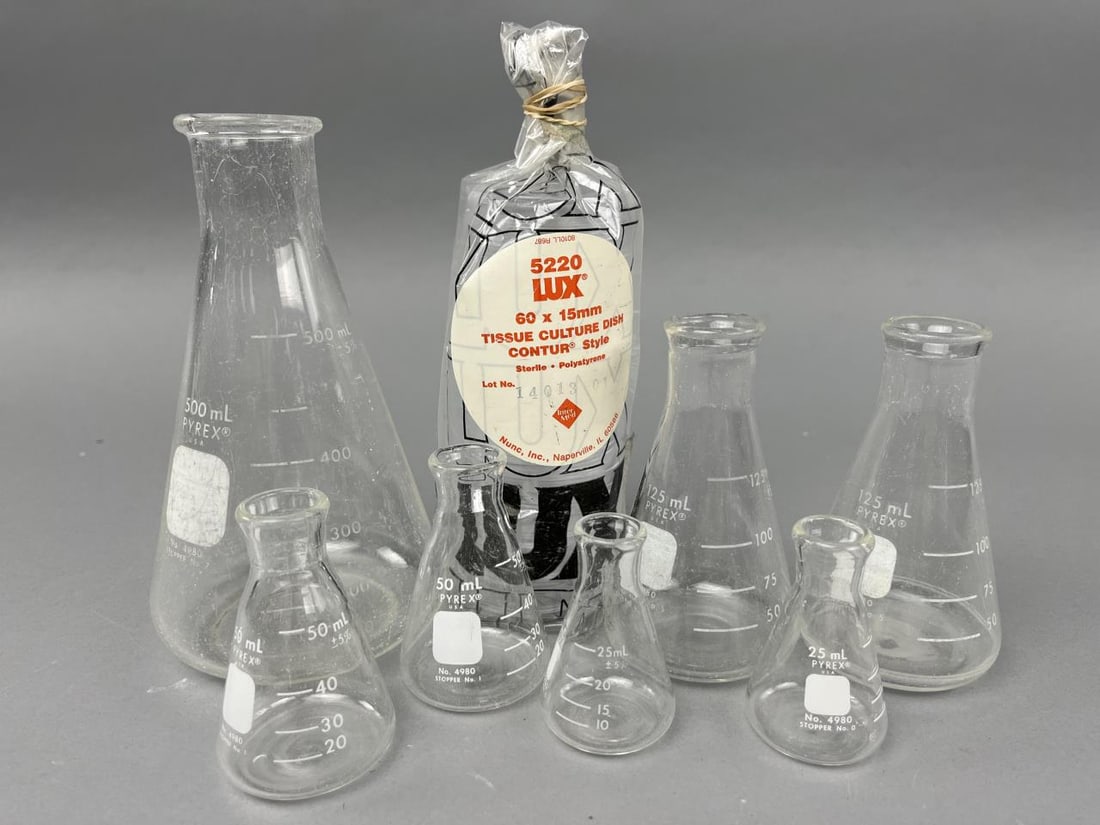 7pcs Erlenmeyer Pyrex Flask Set & Culture Dishes: Tallest 500mL flask measures 7" tall. Smallest 25mL flask measures 2.5" tall. Set includes 500mL flask (1), 125mL flasks (2), 50mL flasks (2), and 25mL flasks (2).