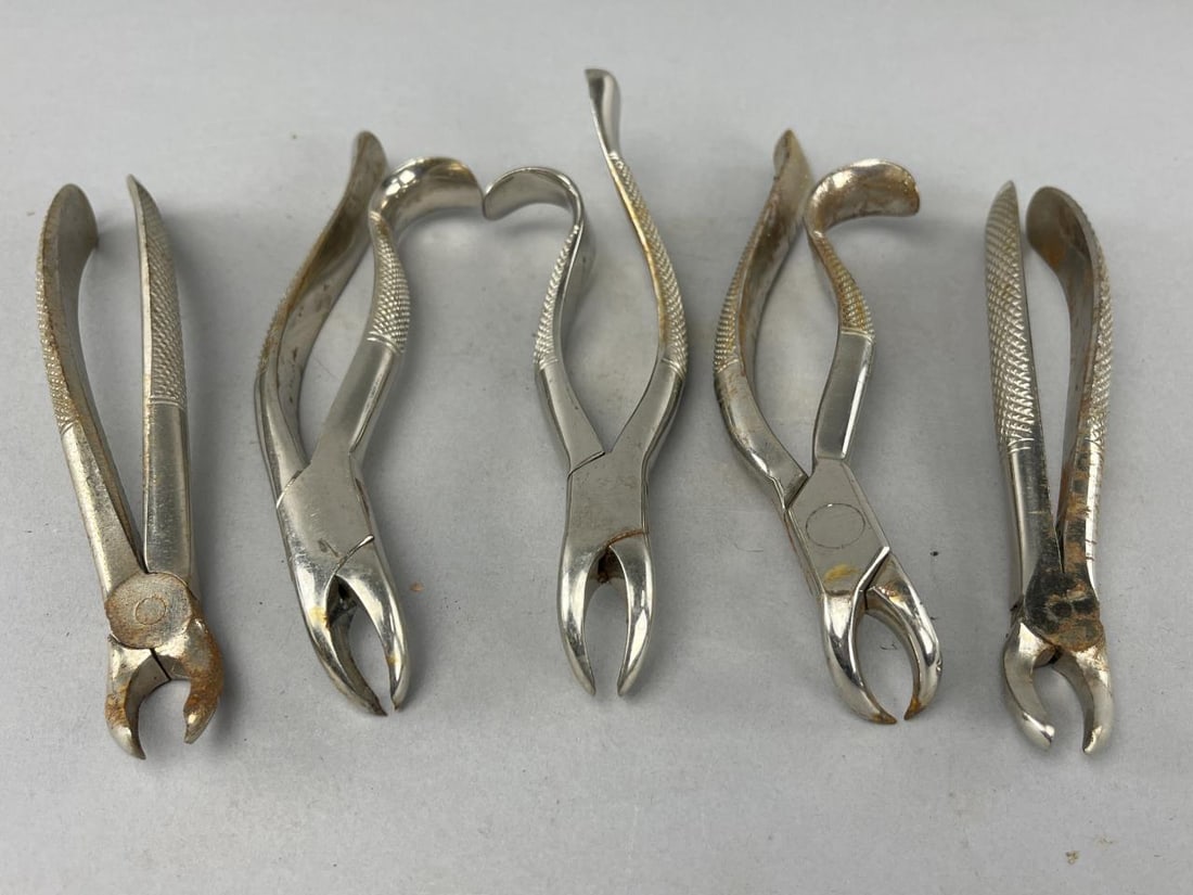 Dental Instrument Tooth Extraction Forceps: Each pair of forceps measures 7" long.