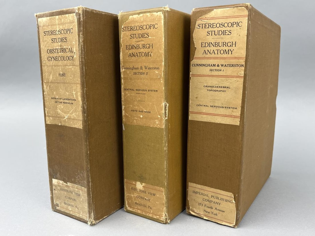 3 Stereoscopic Studies Stereo Card Sets (1 of 4)