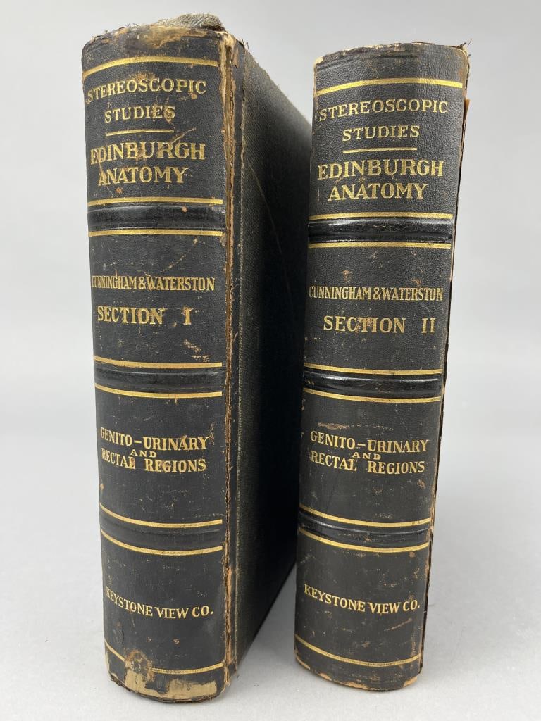 Stereoscopic Studies Edinburgh Anatomy I & II: Stereoscopic Studies Edinburgh Anatomy Cunningham & Waterson Section I & II of Genito-Urinary and Rectal Regions. Both measure 8" x 2" x 9.5".
